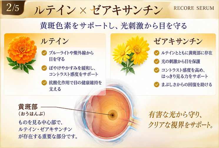 リコアセラム　アンチオキシーカプセル