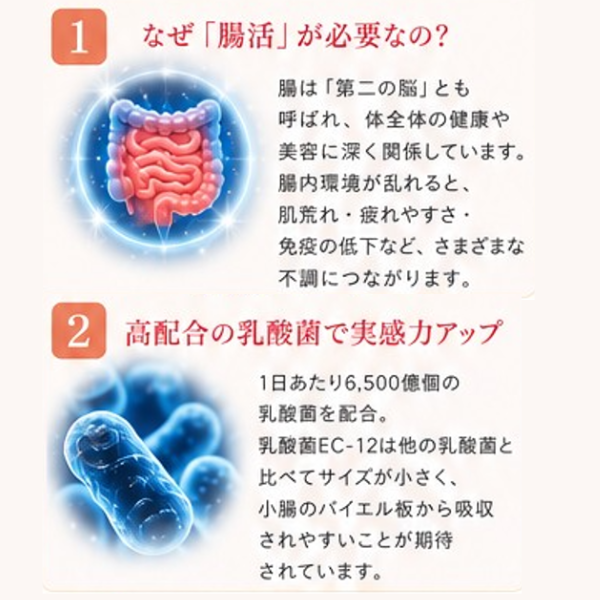 リコアセラム　乳酸菌インナーバランスケア